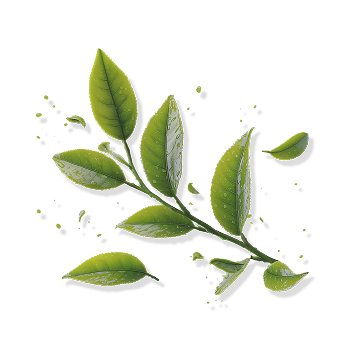 茶葉